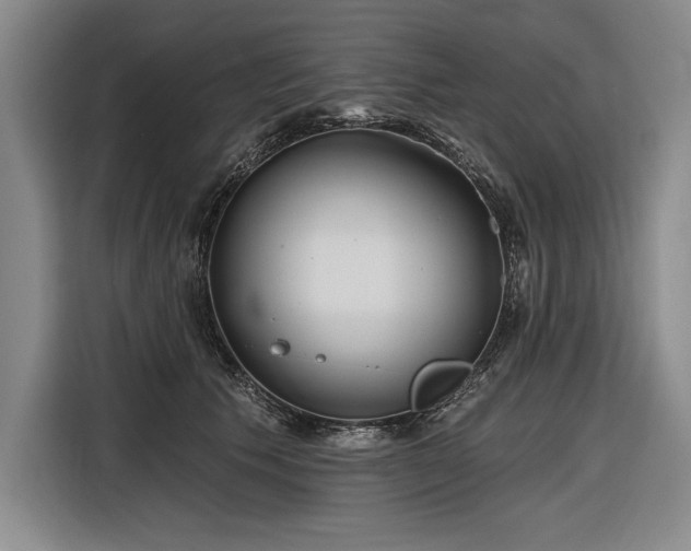 X0000116850609200912221120