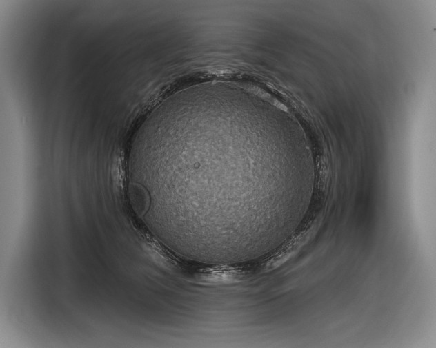 X0000116850612200912221120