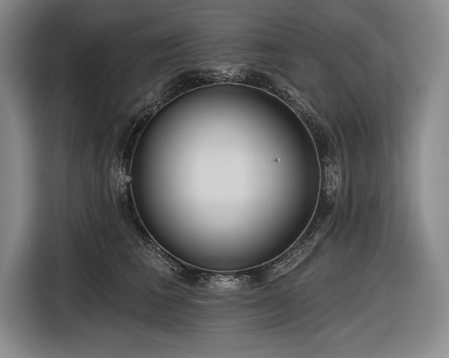 X0000116850613200912221120