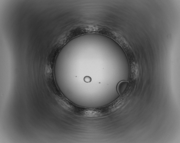 X0000116850614200912221120