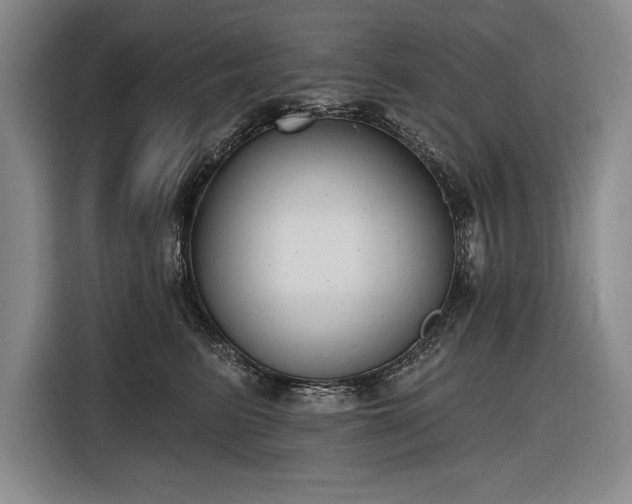 X0000116850615200912221120