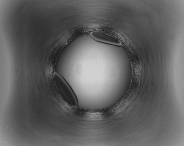 X0000116850617200912221120