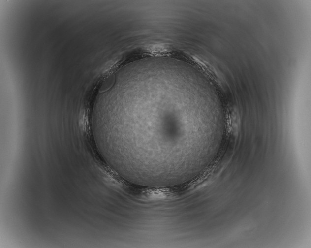 X0000116850618200912221120