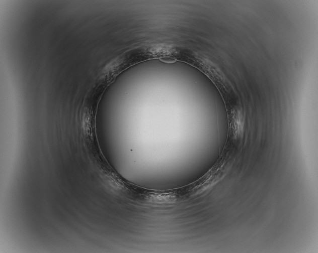 X0000116850619200912221120