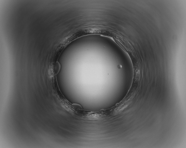 X0000116850620200912221120