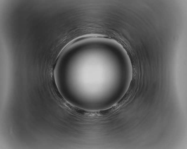 X0000116850621200912221120