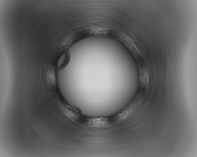X0000116850622200912221120