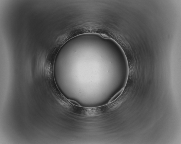 X0000116850623200912221120