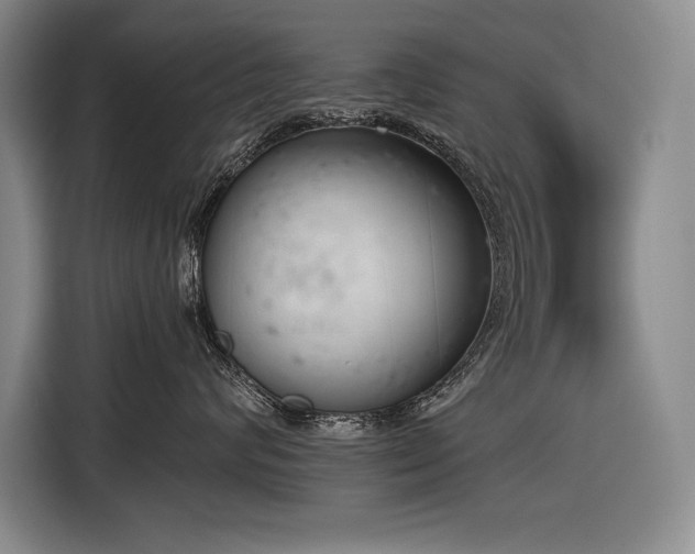 X0000116850624200912221120