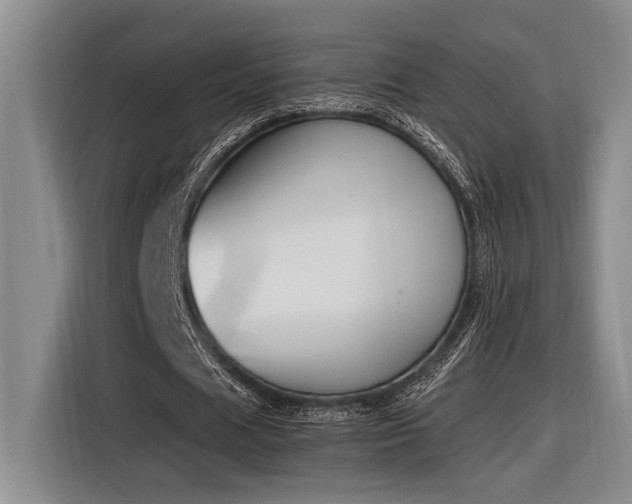 X0000116850625200912221119
