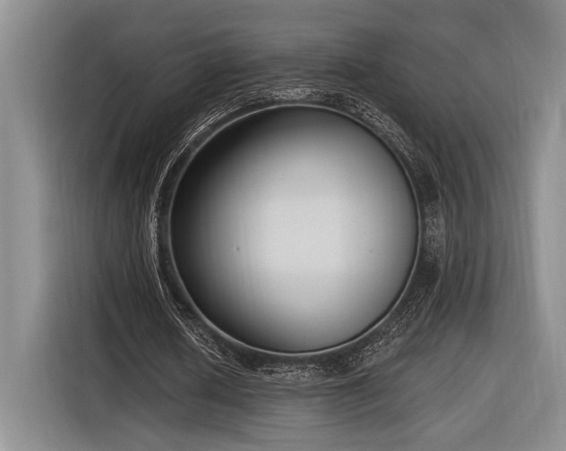 X0000116850626200912221119