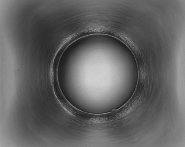 X0000116850630200912221119
