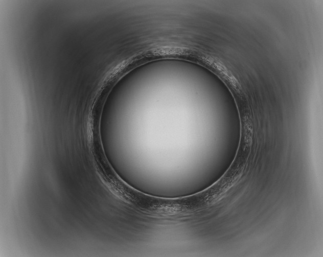 X0000116850631200912221119