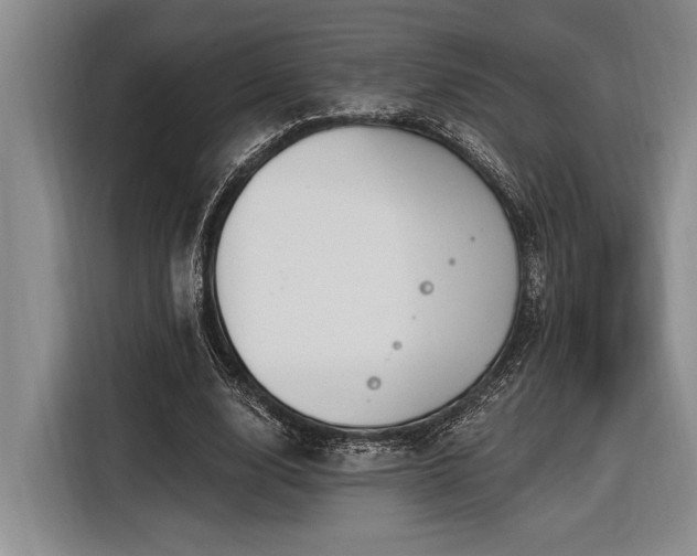 X0000116850632200912221119