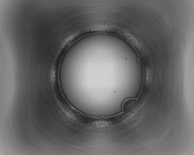 X0000116850636200912221119