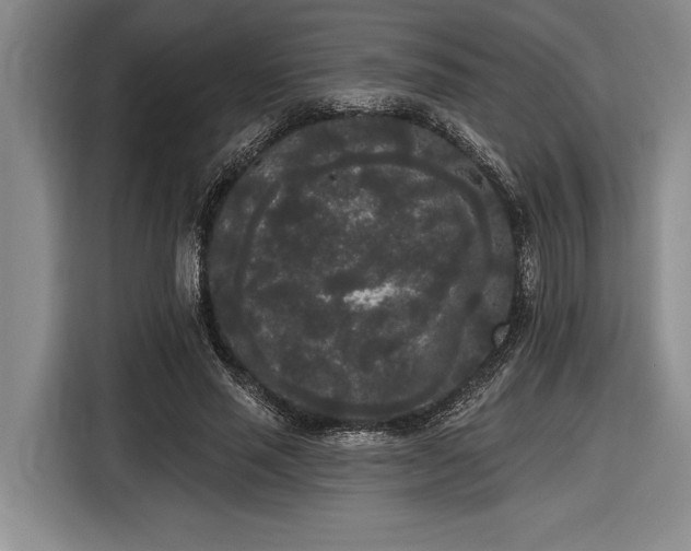 X0000116850637200912221119