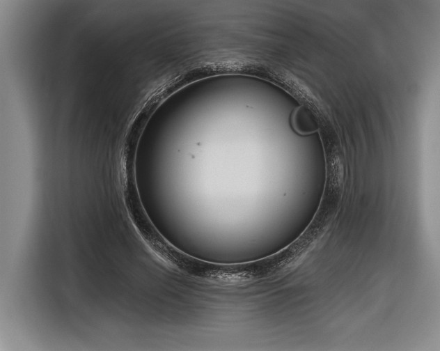 X0000116850638200912221119