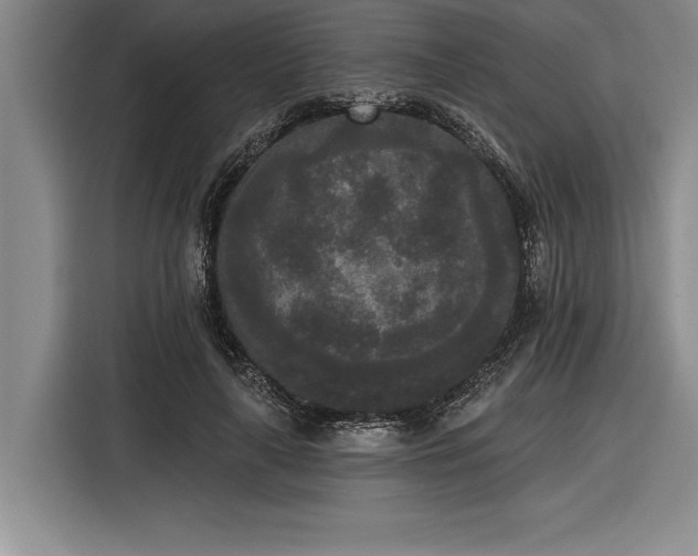X0000116850643200912221119