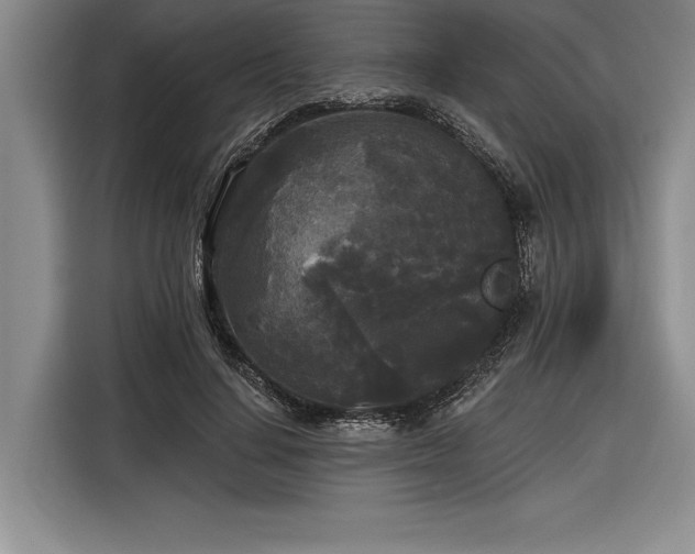 X0000116850644200912221119