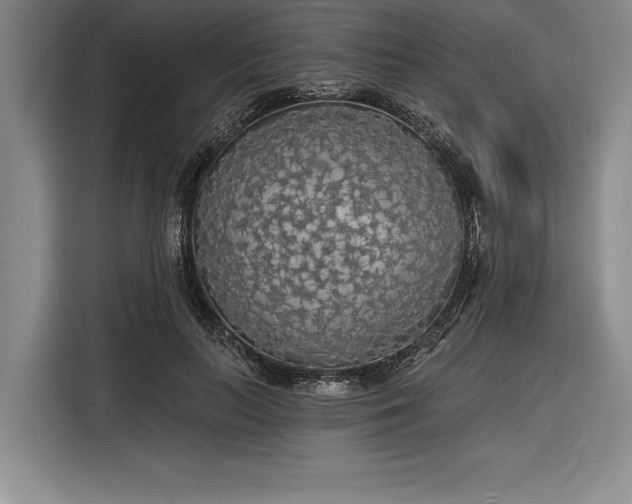 X0000116850647200912221119