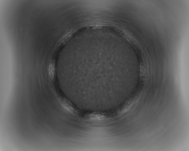 X0000116850648200912221120