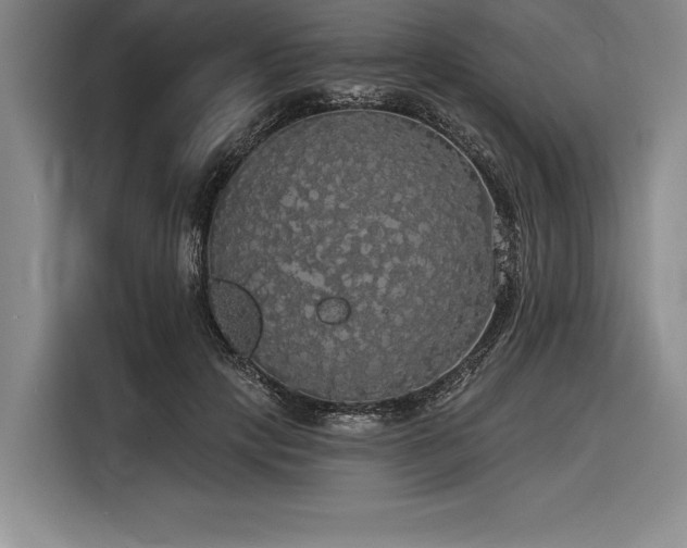 X0000116850649200912221120