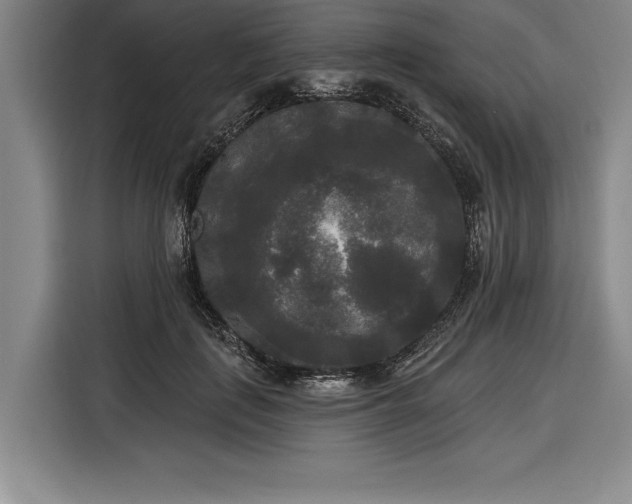 X0000116850651200912221120
