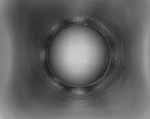 X0000116850652200912221120