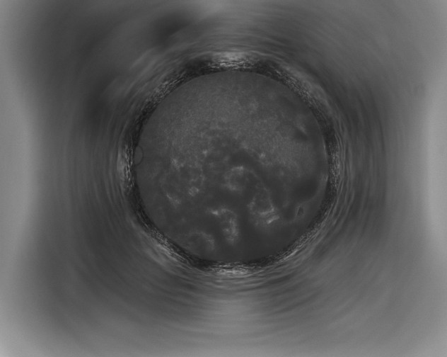 X0000116850653200912221120