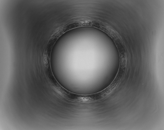 X0000116850654200912221120
