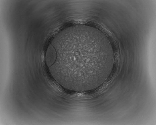 X0000116850655200912221120