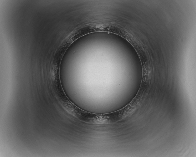 X0000116850656200912221120