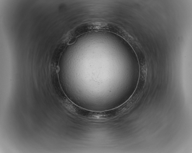 X0000116850657200912221120