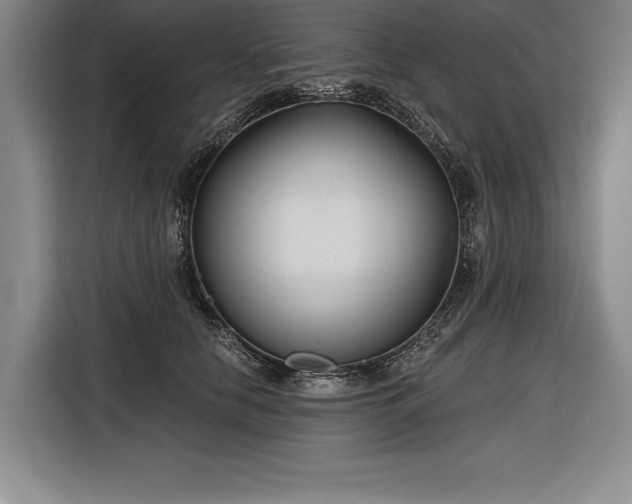 X0000116850658200912221120