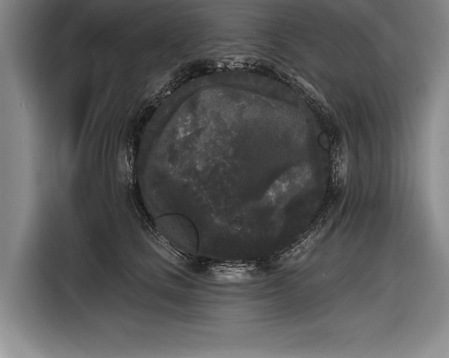 X0000116850661200912221120