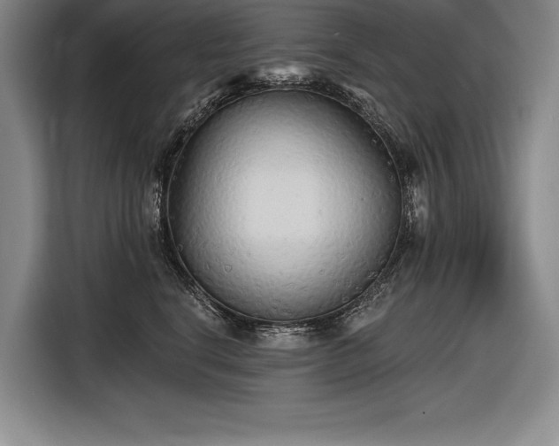 X0000116850664200912221120