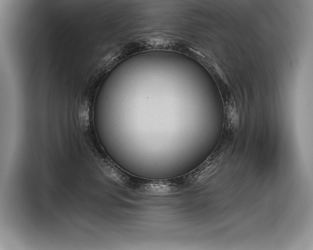 X0000116850668200912221120