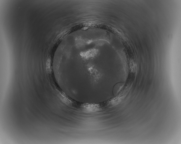 X0000116850670200912221120