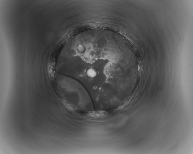 X0000116850671200912221120