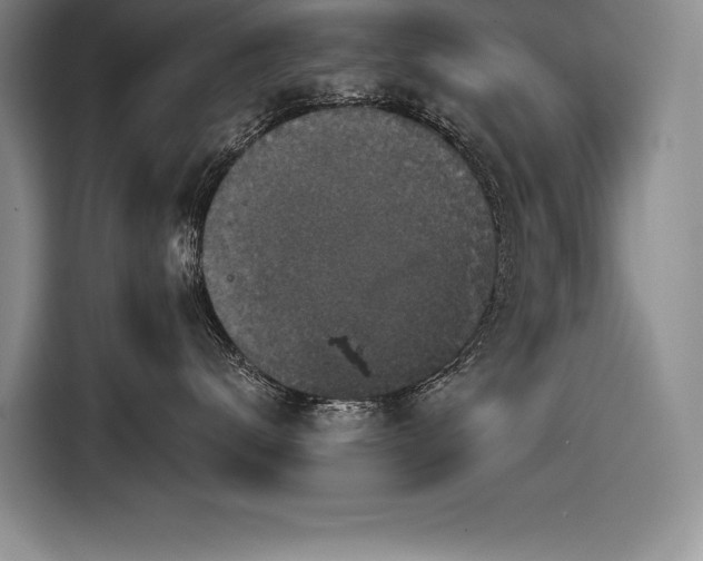 X0000116850672200912221120