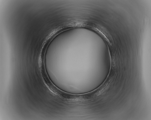X0000116850674200912221119