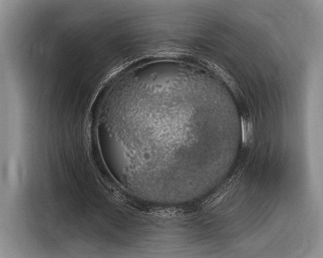 X0000116850675200912221119