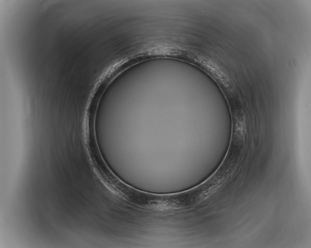 X0000116850678200912221119