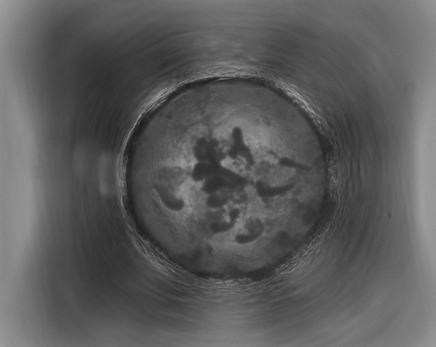 X0000116850679200912221119
