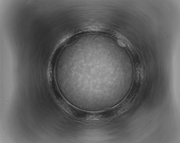 X0000116850680200912221119
