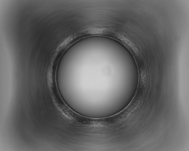 X0000116850682200912221119