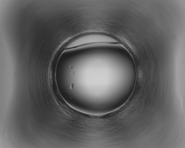 X0000116850684200912221119