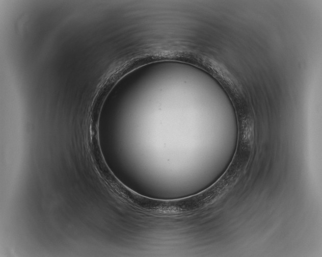 X0000116850685200912221119