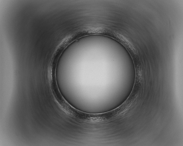 X0000116850686200912221119