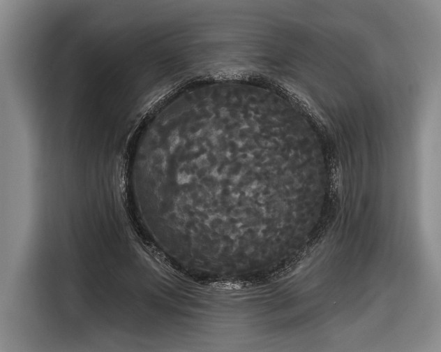 X0000116850687200912221119